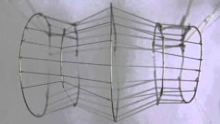 Nitinol muscle