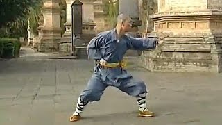 Shaolin Kung Fu: small Tong Bi Quan (read description)