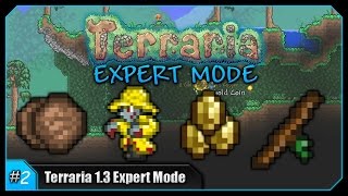 КАК "ПРИЗВАТЬ" МЕТЕОРИТ? | Let's play Terraria EXPERT 1.3.1.1 #2