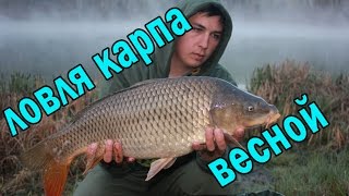 Ловля карпа весной. Карпфишинг