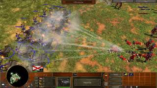 Age of Empires 3-   200 Musketeers vs 20 Organ guns
