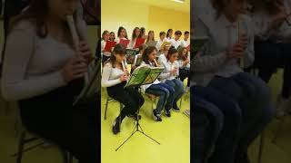 Caprin concerto di Natale dicembre 2018 3