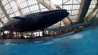 Journée dans un parc : Aquaboulevard