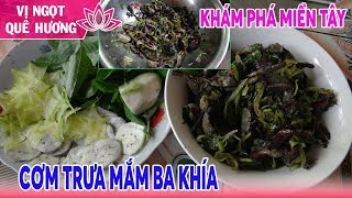 Khám Phá Miền Tây l Cơm Trưa MẮM BA KHÍA ll Vị Ngọt Quê Hương