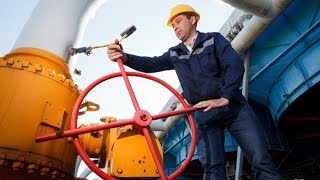 СМИ: Тимошенко призывает правительство платить за газ полную цену