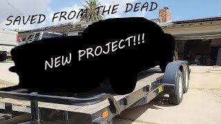 Muscle Car Saved From the Dead!!