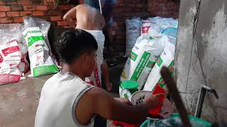Xuất bán cá chẽm giống 0977822688 #cachemgiong