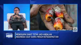 Bos Sawit Bongkar Sebab Produksi & Ekspor Sawit RI Turun