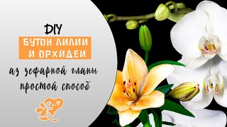 Бутоны из жидкого фоамирана. Как сделать бутоны лилии и орхидеи. DIY