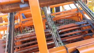 Regero transplanter