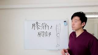 【膝の痛みと殿部】世田谷区用賀の姿勢改善専門の整体