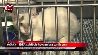 IDEA members visited Azerbaijan Animal Rescue Center (AARC)