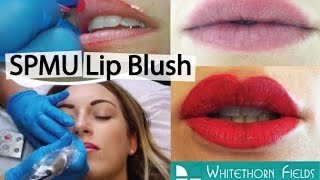 Tracy Kiss Semi-Permanent Makeup Lip Blush Treatment By Caron Vetter