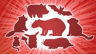 Why Are Some Furry Creatures So Infectious?