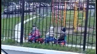 ДОРОЖНАЯ ПРОБКА В ДЕТСКОМ САДУ. ПРИКОЛ