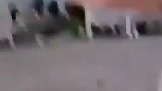 Это реальное видео. Не Кино. Просто жесть