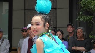 第47回神戸まつり2017  ダンスラビッツ&GREATEST