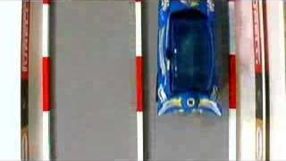 Hamster Race