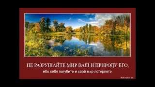 Задумайся!!!  мир в котором мы живём