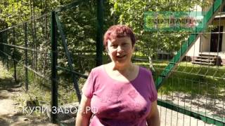 Забор из сетки Гиттер. ОТЗЫВ