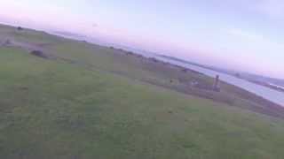 Speedy Quadcopter - Argonaut AQ320 - Cobra CM2208 2000kv