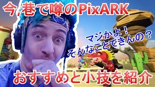 【PixARK】初心者必見！自分がかなり後から気づいた得する小技とおすすめ情報！【ピックスアーク】【PC版】【NT】