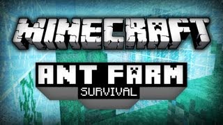Ant Farm Survival - Épisode 1 - Fourmili-air