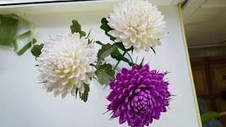 Астра из гофрированной бумаги. Хризантема из гофрированной бумаги. Очень простой МК ХРИЗАНТЕМЫ.