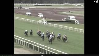 Divin Bere - Lyon 3-Y-O Hurdle (Winner Moved to Paul Nicholls, 5th Moved To Alan King)
