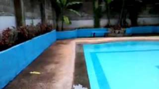 swimming fool