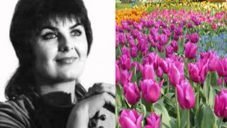 Iwona Niedzielska - Przypadkowe szczęście