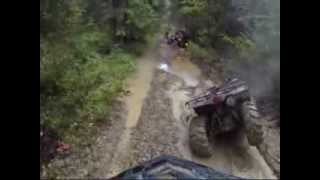 Yamaha grizzly and CF moto x8