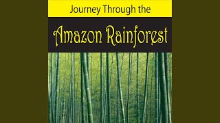 Tropical Thunderstorm Approaching the Rainforest