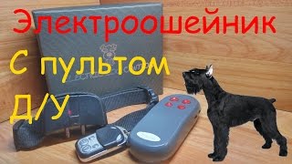 Электронный ошейник для дрессировки собак с пультом  Д/У с Алиэкспресс.