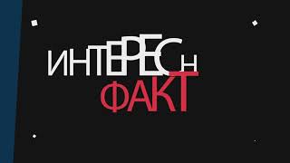 10 КРУТЫХ ЛАЙФХАКОВ ДЛЯ ВК   Лайфхаки ВКонтакте
