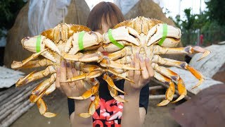 ?TXT - LẦN ĐẦU ĂN CUA BIÊN BẮC MỸ KHỔNG LỒ : HOW TO COOK CRABS DUNGENESS CRAB