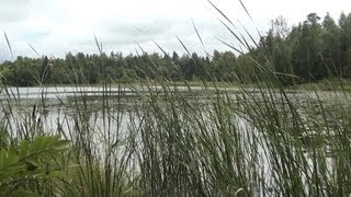 Карелия. Ладога - Кильпола. Поход на лесное озеро.