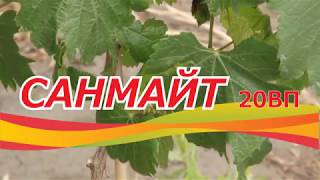 САНМАЙТ 20 ВП