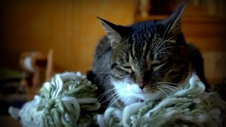 A Wooly Saga -- The Washing Yarn Bit