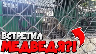 ВСТРЕТИЛ МЕДВЕДЯ?! СХОДИЛ НА СПЕКТАКЛЬ ,,СПЯЩАЯ КРАСАВИЦА''. ПОЕЗДКА В ЗООПАРК!) - [ВЛОГ]