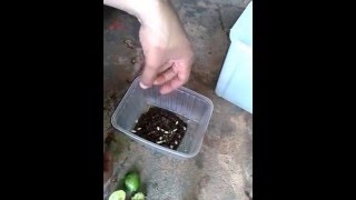 como tirar ferrugem de forma fácil usando limão