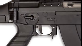 Gun of the Week: SIG 556R
