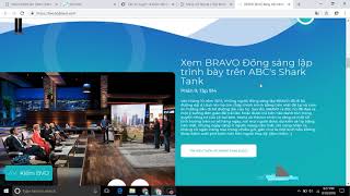 Review ICO Bravo