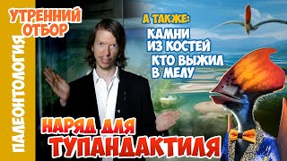 Наряд для тупандактиля. Ярослав Попов