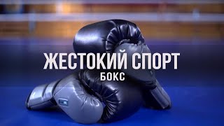Документальный цикл «Жестокий Спорт». Бокс
