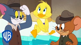 Tom y Jerry en Español | Los cuidadores de patos