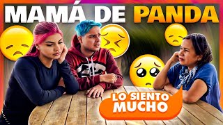 LA MAMÁ DE PANDA NOS CUENTA TODA LA VERDAD - Yolo Aventuras
