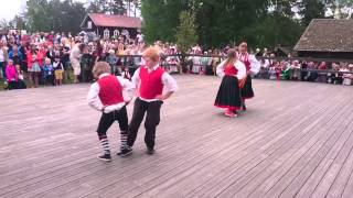 Oxdansen Dellenbygdens folkdanslag Delsbostämman