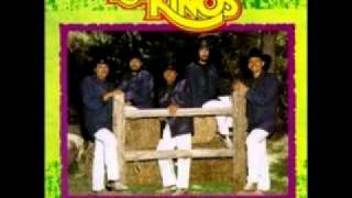 Mia Siempre Mia Los Kinos