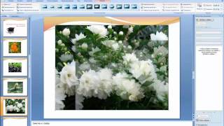 Power Point обучение не от специалиста